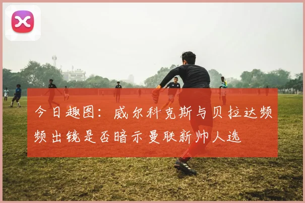 今日趣图：威尔科克斯与贝拉达频频出镜是否暗示曼联新帅人选